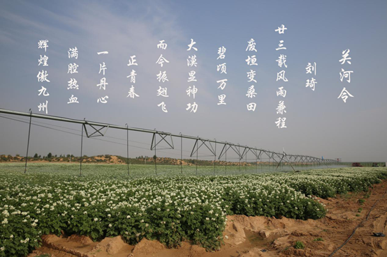 mg不朽情缘(中国)官方网站