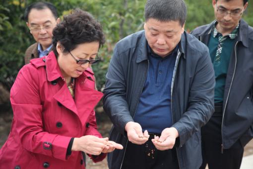 mg不朽情缘(中国)官方网站