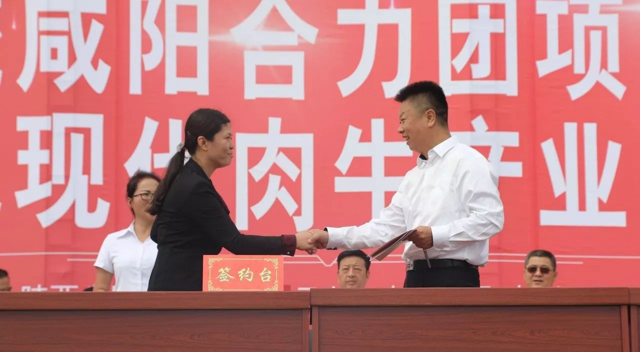 mg不朽情缘(中国)官方网站