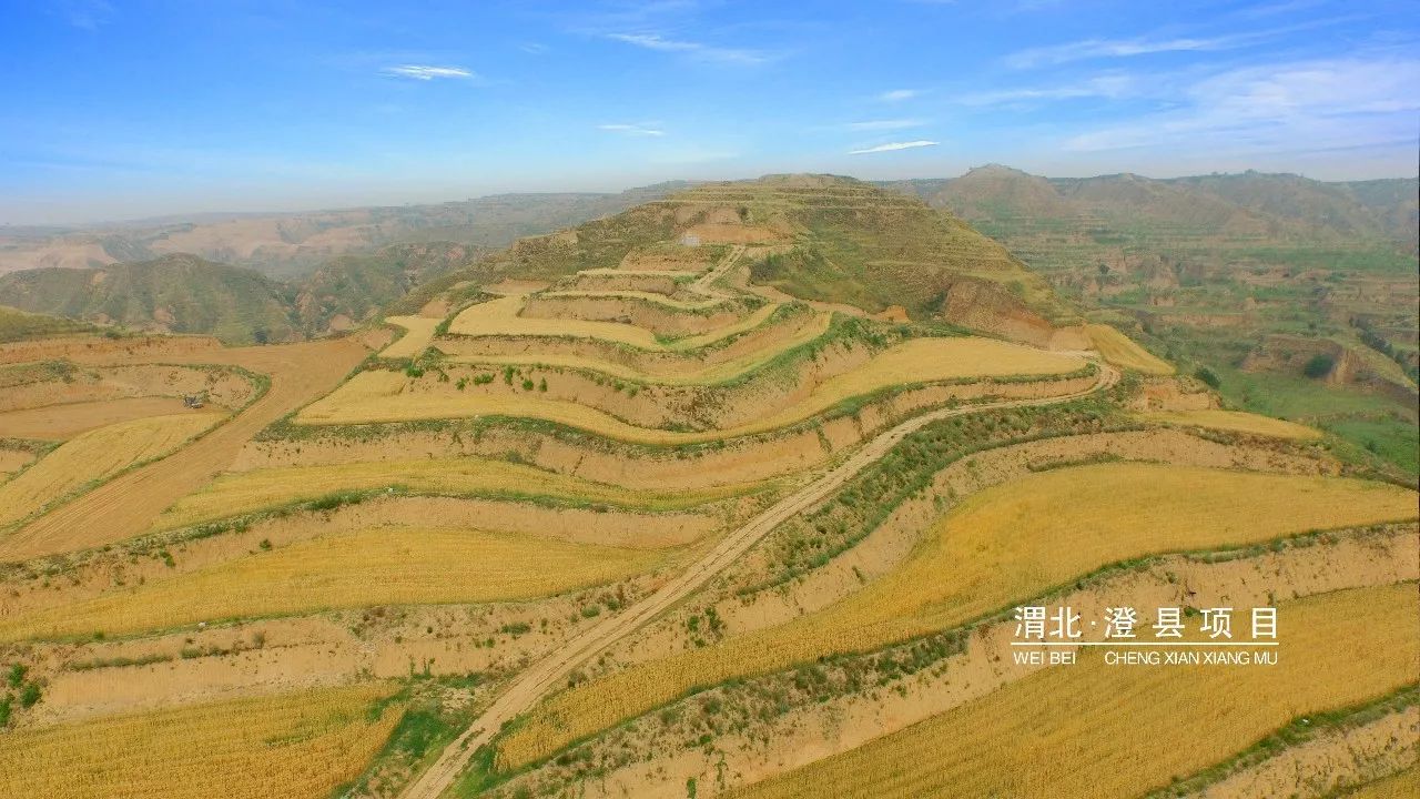 mg不朽情缘(中国)官方网站