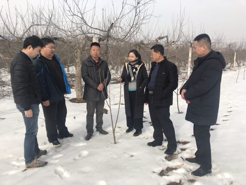 mg不朽情缘(中国)官方网站