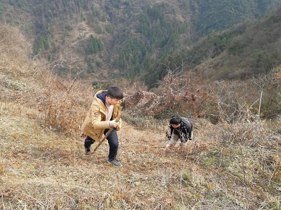 mg不朽情缘(中国)官方网站