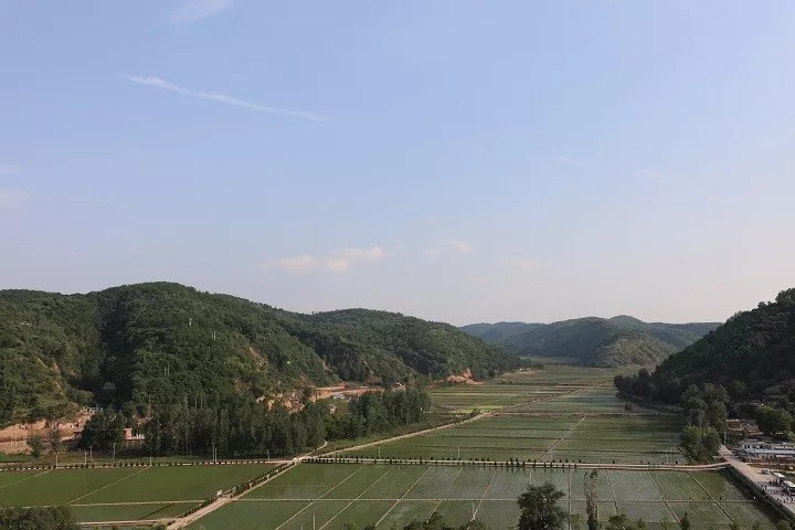 mg不朽情缘(中国)官方网站