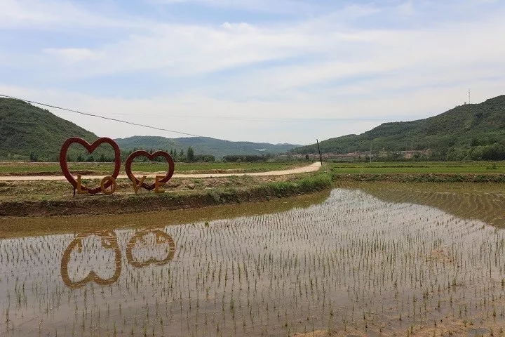 mg不朽情缘(中国)官方网站