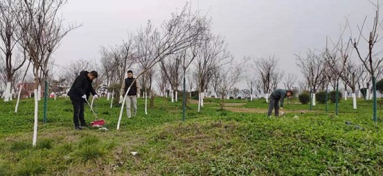 mg不朽情缘(中国)官方网站