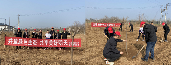 mg不朽情缘(中国)官方网站