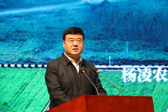 mg不朽情缘(中国)官方网站