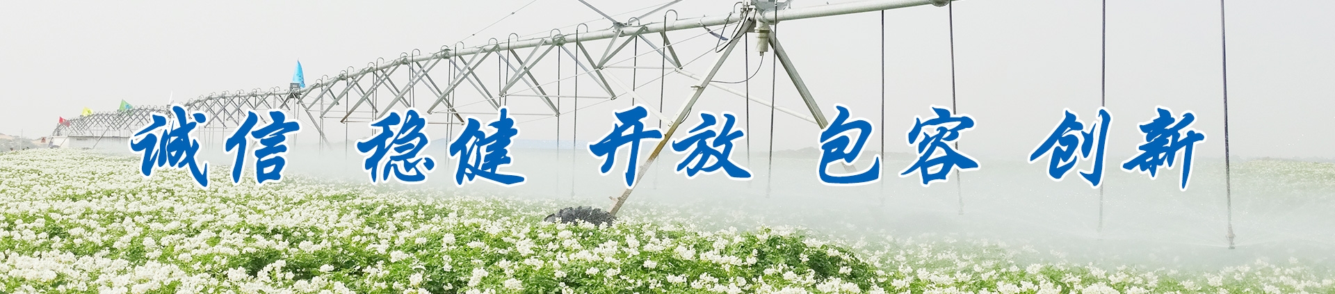 mg不朽情缘(中国)官方网站