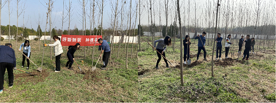 mg不朽情缘(中国)官方网站