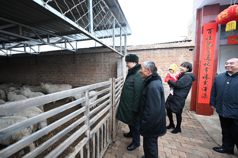 习近平春节前夕赴山西探望慰问下层干部群众 向天下各族人民致以优美的新春祝福 -  mg不朽情缘