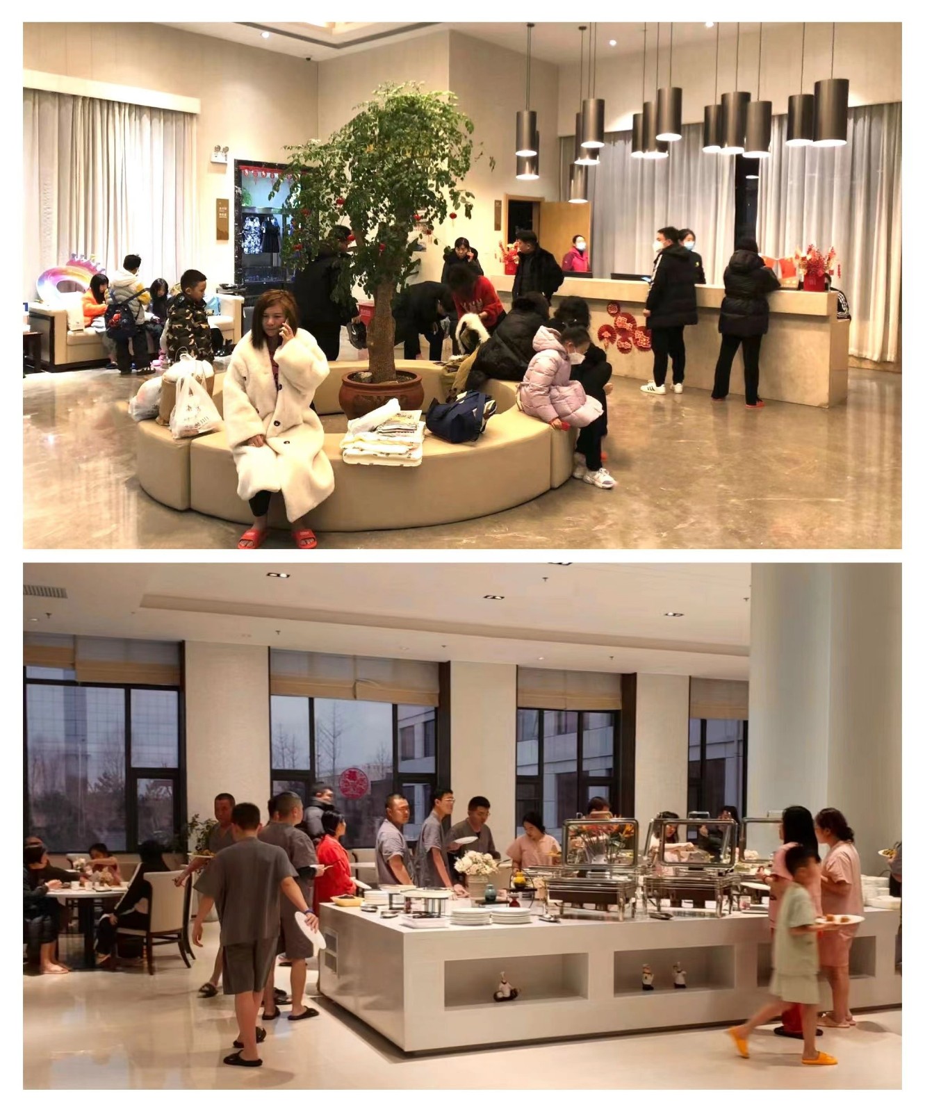 地建各大旅馆春节假期接待量已超万余人次 -  mg不朽情缘