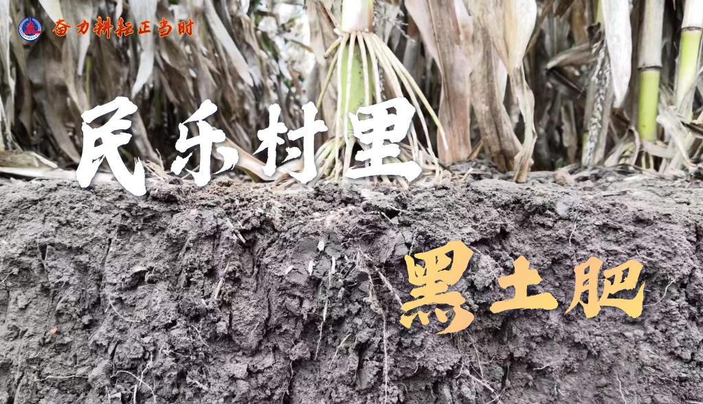 习近平总书记关切事|奋力耕作正其时——农业强国建设一线的四个故事 -  mg不朽情缘