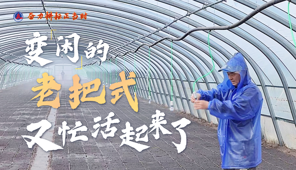 习近平总书记关切事|奋力耕作正其时——农业强国建设一线的四个故事 -  mg不朽情缘