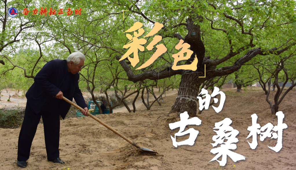 习近平总书记关切事|奋力耕作正其时——农业强国建设一线的四个故事 -  mg不朽情缘