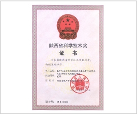 mg不朽情缘(中国)官方网站