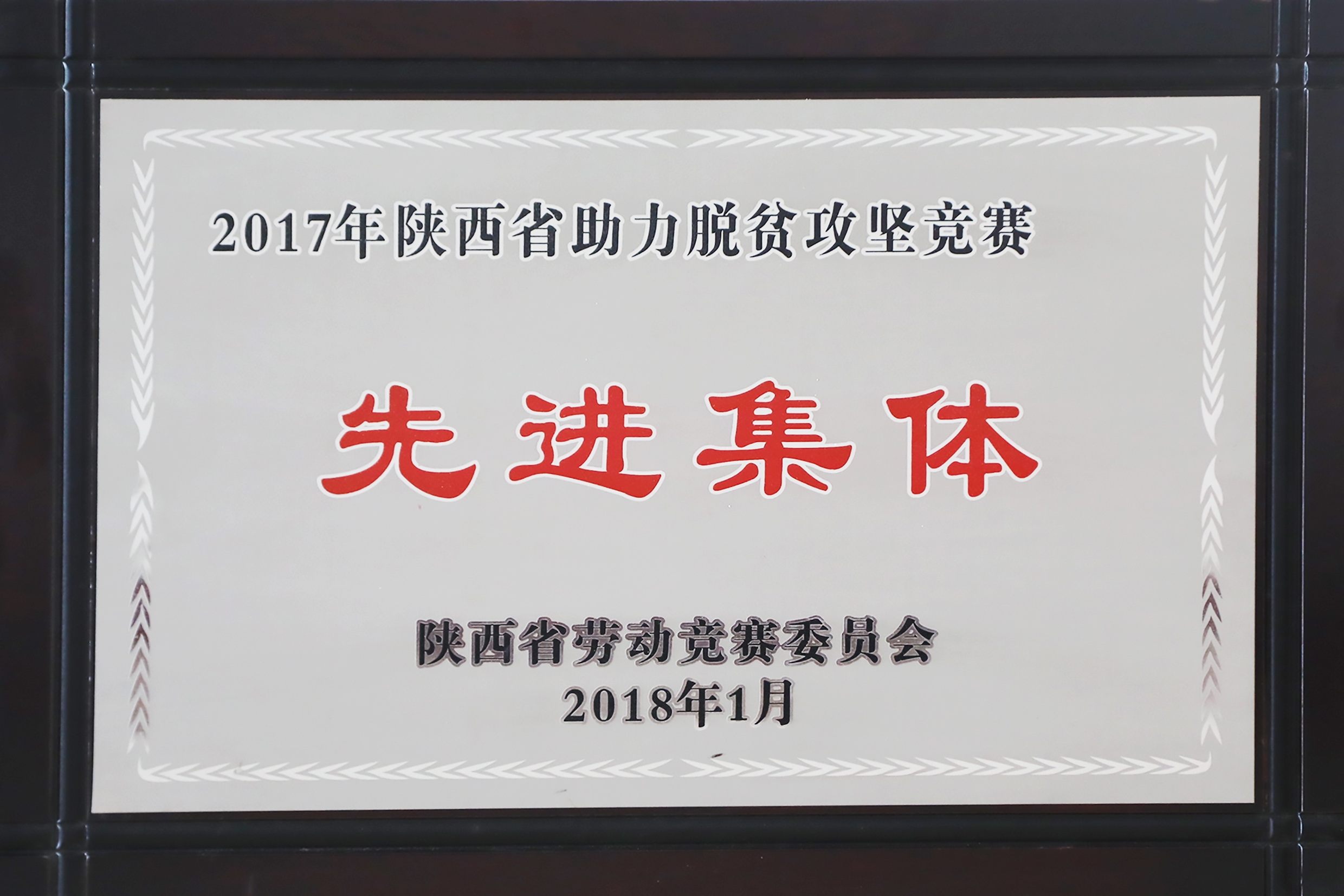 mg不朽情缘(中国)官方网站