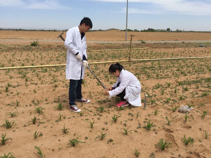 mg不朽情缘(中国)官方网站