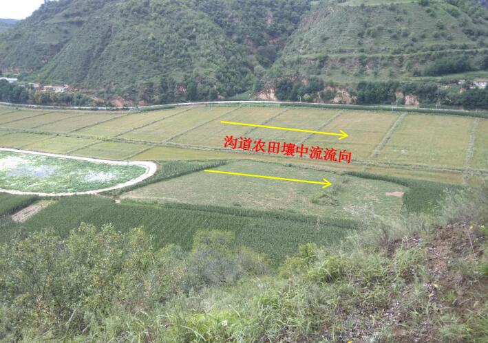 mg不朽情缘(中国)官方网站