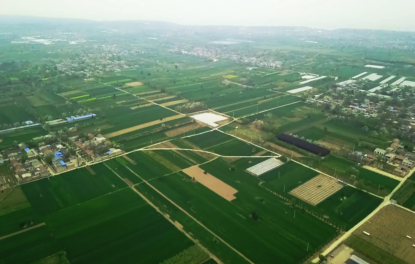 藏粮于地 藏粮于技 mg不朽情缘