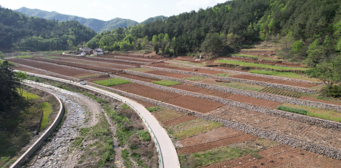 藏粮于地 藏粮于技 mg不朽情缘