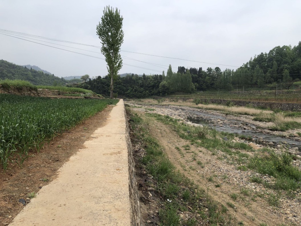 藏粮于地 藏粮于技 mg不朽情缘