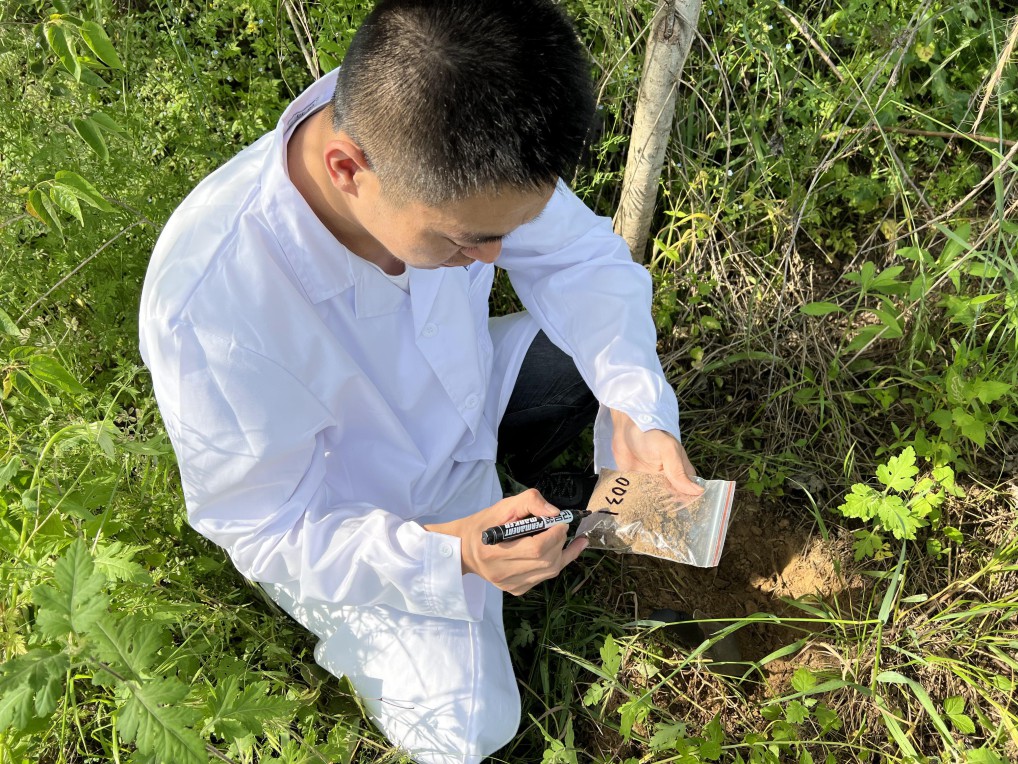 藏粮于地 藏粮于技 mg不朽情缘