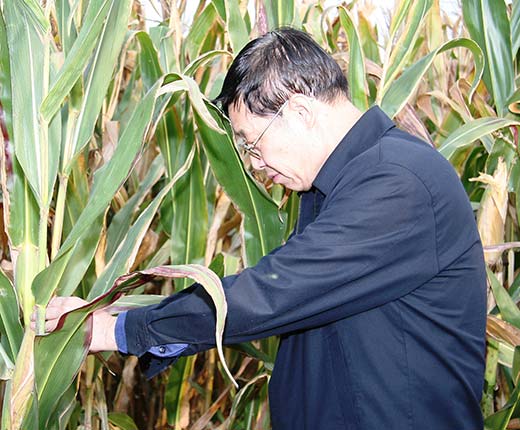 mg不朽情缘(中国)官方网站